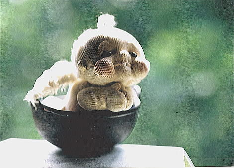 �V���ɍs�������񂳂�