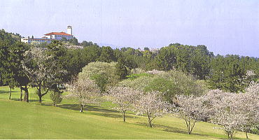 �z�e���̒�