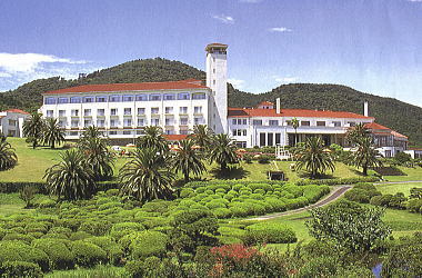 ��ރz�e���O�i