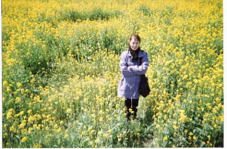 �؂̉ԂɈ͂܂ꂽ�F