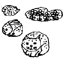 �y�[�p�[�E�G�C�g