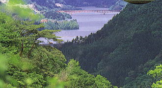 �x�O���p�ق��璭�߂�