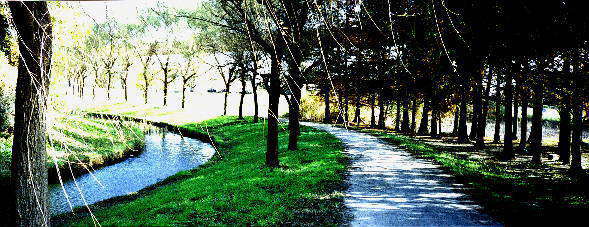 ���Ɛ��Ɨ΂̃I�[�P�X�g��