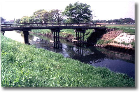 �Ő쉈���𑖂�