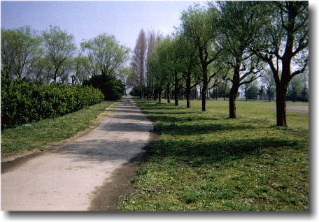 �ǂ��܂ł������T�C�N�����O���[�h