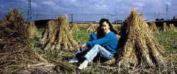 �����H�̃����f�C�P