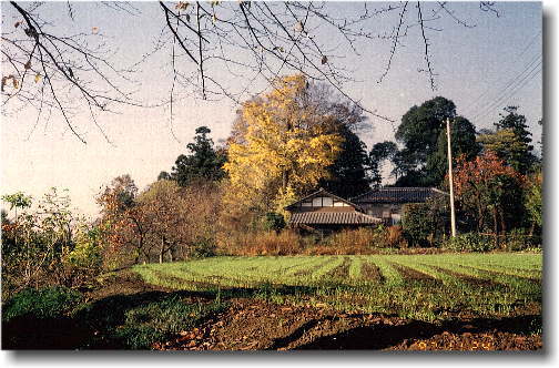 �S���Ȃ��ޓc�ɂ̕��i