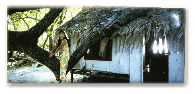 �u���b�N�R�[�����ŗV��