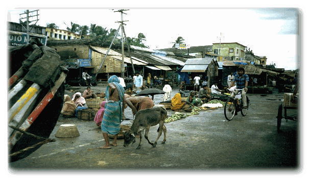 �C���h�̊X�̕��i