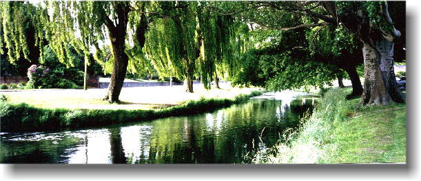 �����ɂ�