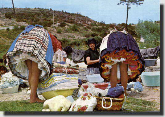 �C���f�B�I�̃o�U�[�����i