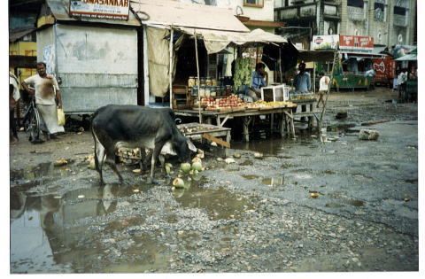 �v�[���[�̊X��