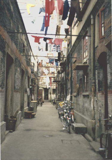 ���Ƃ̐���̊�����