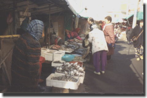 �v�T���̋��s��