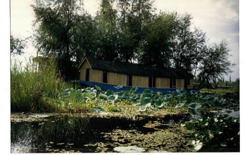 �C���h�ŃS���t