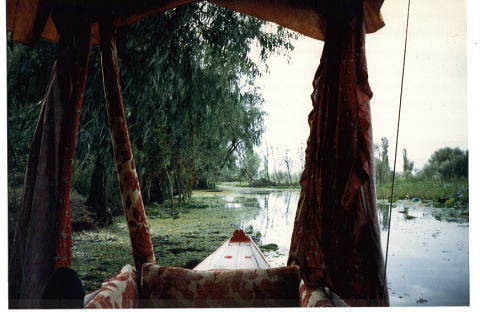 �V�J���ɏ���Ă��낮