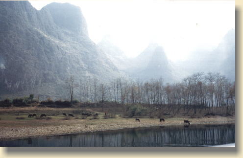 �ݕӂł͖쐶�̔n���H����