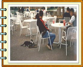 ��w�̃L�����p�X�P